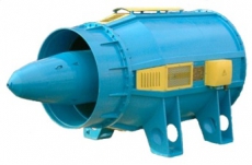s31