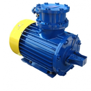 aiu-300x300